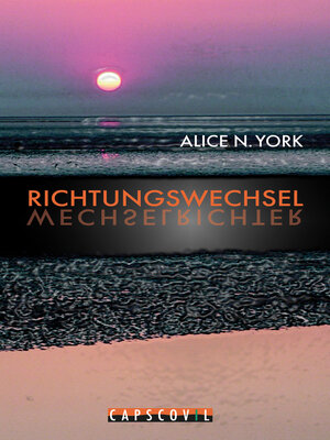 cover image of Richtungswechsel